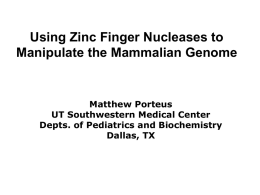 The Use of Zinc Finger Nucleases to Manipulate the Genome