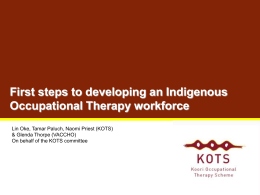 First steps to developing an Indigenous Occupational