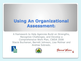 Using An Organizational Assessment: