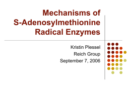 Mechanism of Radical SAM Enzymes