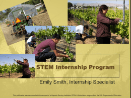 STEM Internship Program