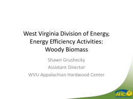 West Virginia Division of Energy, Energy Efficiency