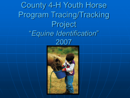 County 4-H Youth Horse Program Tracking Project “Equine