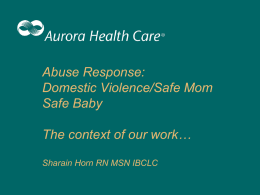 Domestic Violence The context of our work