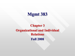 Mgmt 383 - University of Mississippi