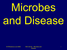 Microbes and Disease - NT Science games, puzzles
