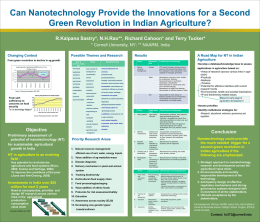 0000 sastry. ppt - NSF Nanoscale Science and Engineering