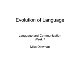 Evolution of Language - Linguistics and English Language