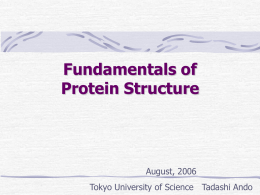 Fundamentals of protein structure