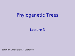 Phylo_3