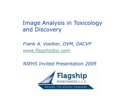 Image Analysis in Toxicology and Discovery