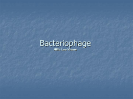 Bacteria Phage Hilla Lee Viener