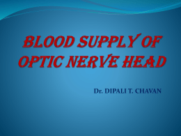 BLOOD SUPPLY OF OPTIC DISC