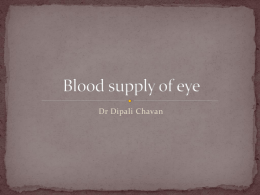 BLOOD SUPPLY OF EYE - Home