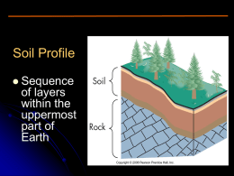 1- KLİMATİK FAKTOR (İKLİM)