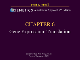 CHAPTER 6 Gene Expression: Translation