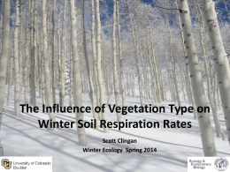 Vegetation Structure Influence on Soil Respiration