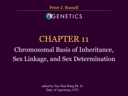 CHAPTER 11, Chromosomal Basis of Inheritance, Sex linkage