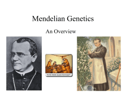 Mendelian Genetics - Austin Peay State University