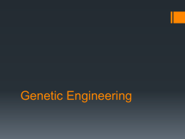 Slide 1