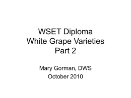 WSET Diploma White Grape Varieties Part 1