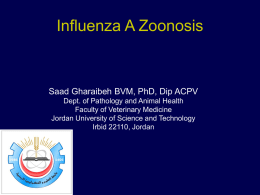Influenza A Zoonosis