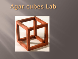 Agar cubes - MrFranta.org
