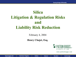 Financial Risks of Silica Exposure and Related Health Effects