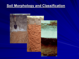 Soil Morphology and Classification