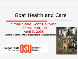 Sheep & Goat Health Common Problems and Solutions
