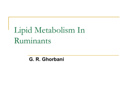 Lipid Metabolism In Ruminants