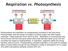 Photosynthesis: Chapt. 10 - University of New England