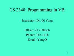 CS234: Programming in VB