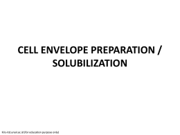 CELL ENVELOPE PREPARATION / SOLUBILIZATION