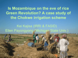 Potential of and constraints to the rice Green Revolution