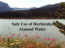 Safe Use of Herbicides Around Water