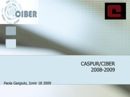 CASPUR/CIBER report 2008-2009 - HEAL-Link