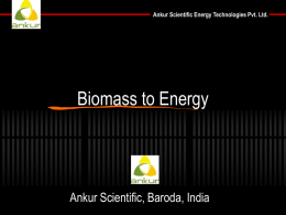 Biomass Gasification An Introduction
