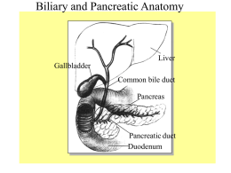 Biliary and Pancreatic Anatomy