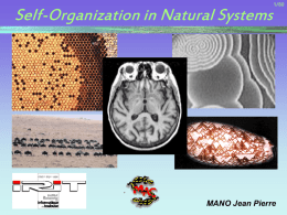 Self-Organization in Natural Systems - IRIT