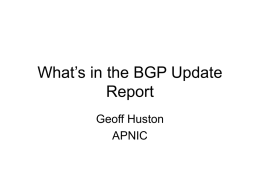 BGP Update Report