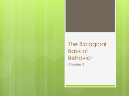 The Biological Basis of Behavior