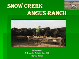 SNOW CREEK ANGUS RANCH - Snow Creek Ranch Steaks