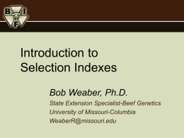 Introduction to Selection Indexes