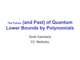 The Future (and Past) of Quantum Lower Bounds by Polynomials