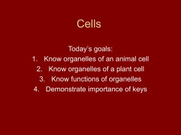 Cells - Science A 2 Z