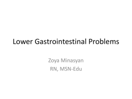 Lower Gastrointestinal Problems