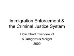 Immigration Enforcement & the Criminal Justice System