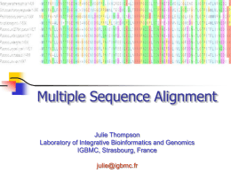 Scoring multiple sequence alignments