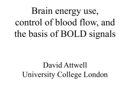 An energy budget for the grey matter of the brain David